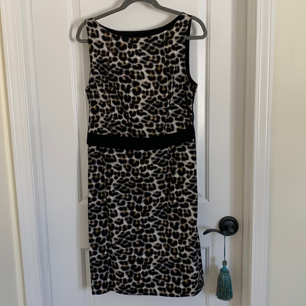 Ann Taylor animal print sheath with cute side zipper detail